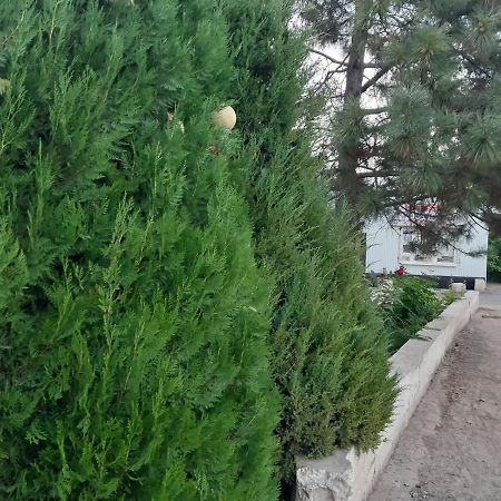Azimut Hotel Jalal-Abad Bagian luar foto